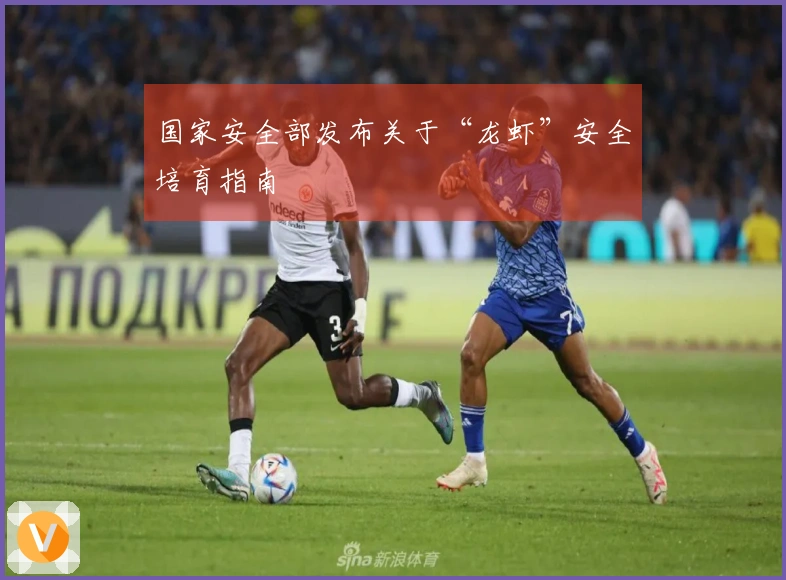 国家安全部发布关于“龙虾”安全培育指南